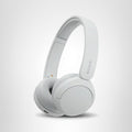 Sony WH-CH520 - Auriculares inalámbricos Bluetooth con micrófono y...