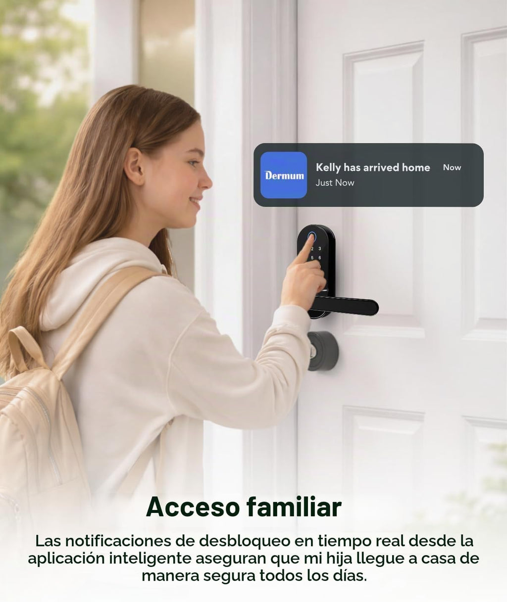 Cerradura inteligente digital de huellas dactilares sin llave con m...