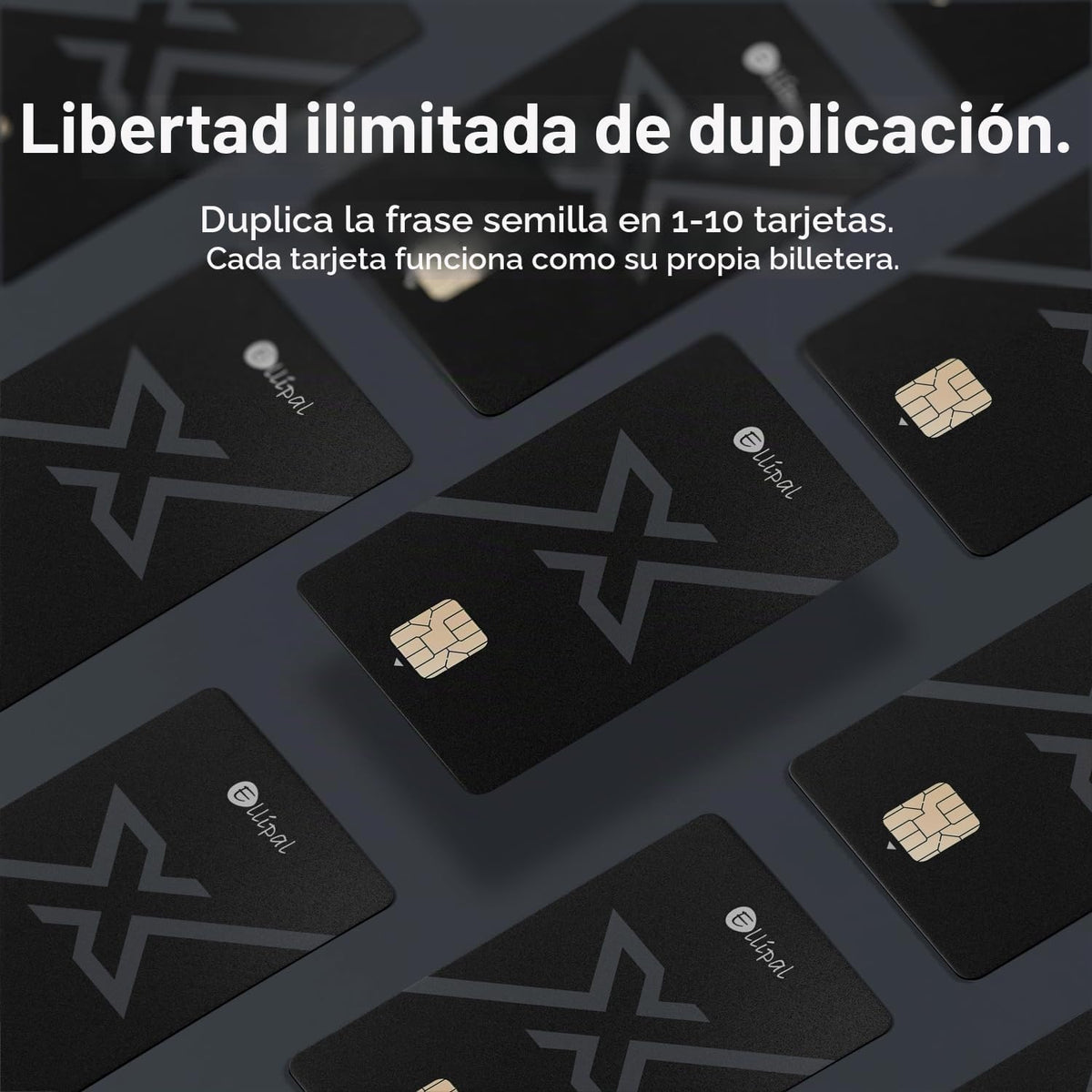 ELLIPAL X Card DUO - Tarjeta de respaldo de frase semilla X Starter...