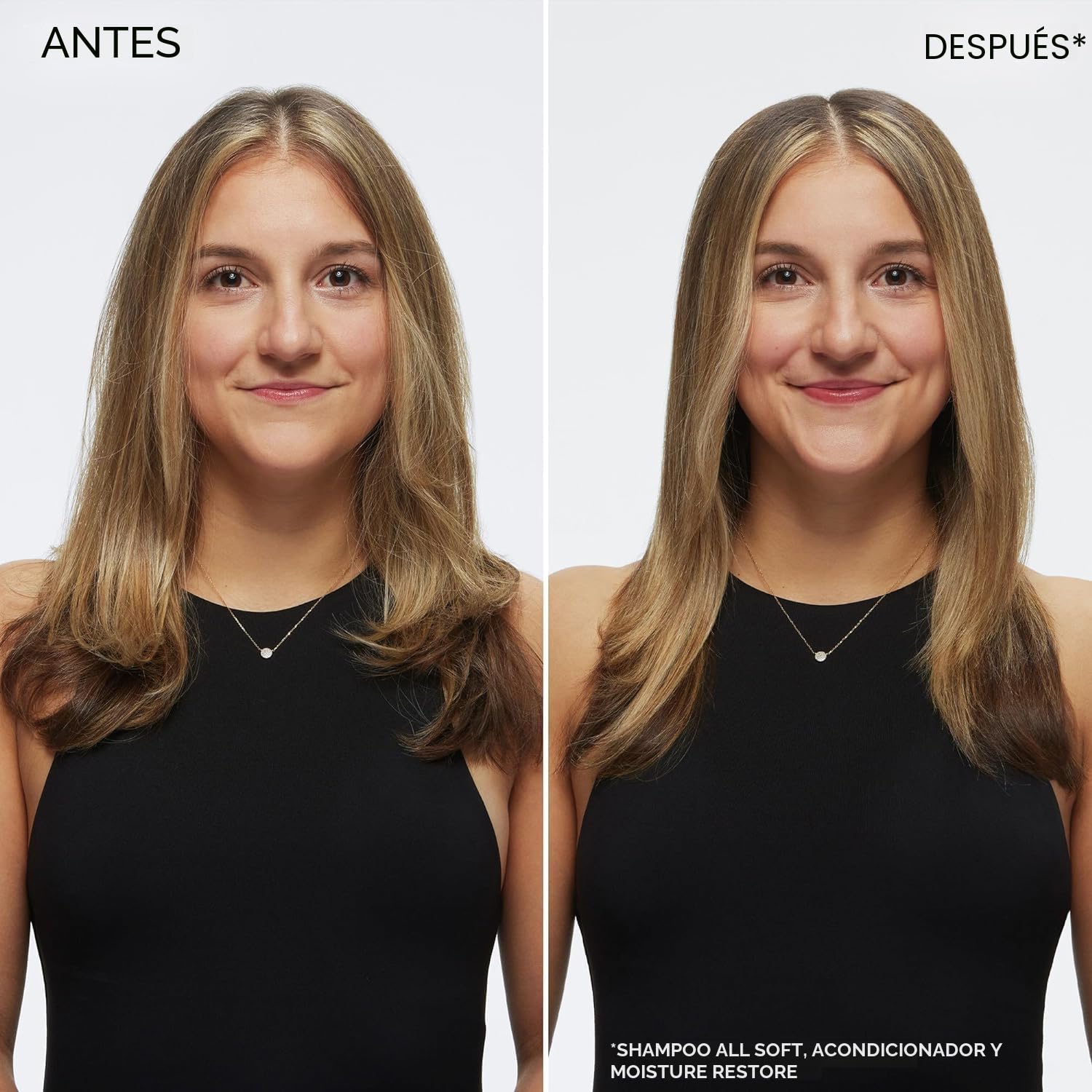 Champú Redken All Soft: hidrata e hidrata el cabello seco, suaviza...