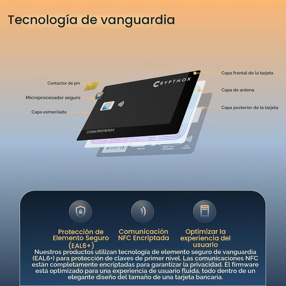 Cryptnox Crypto Hardware Wallet - Tarjeta inteligente NFC almacenam...