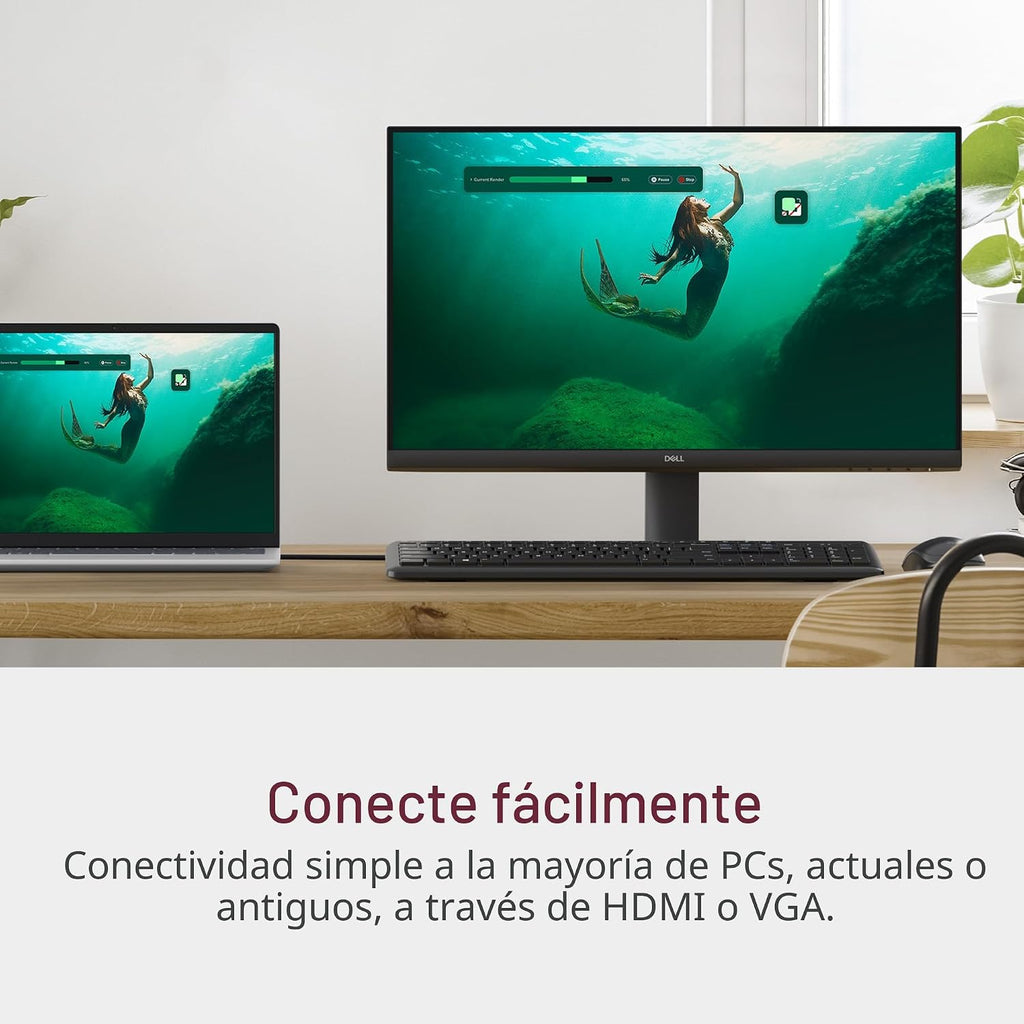 Dell Monitor 24 - SE2425HM - Pantalla Full HD de 23.8 pulgadas (192...