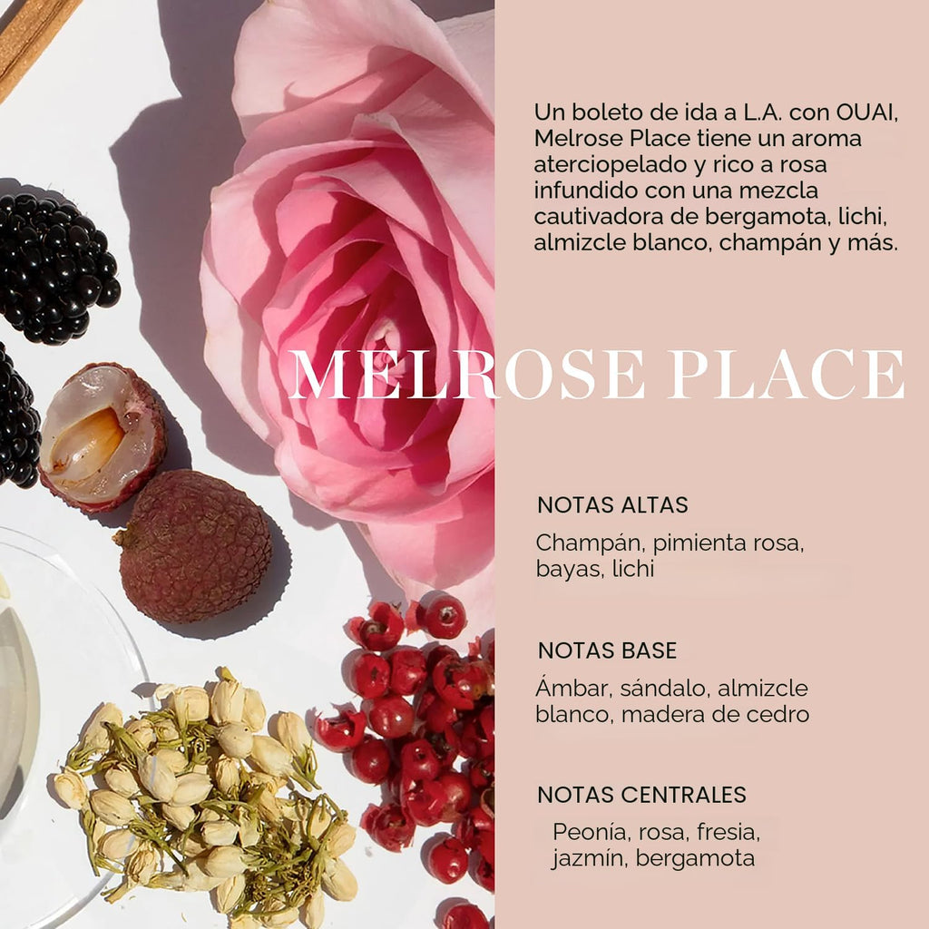 OUAI Detox - Recambio de champú clarificante para acumulación, suci...