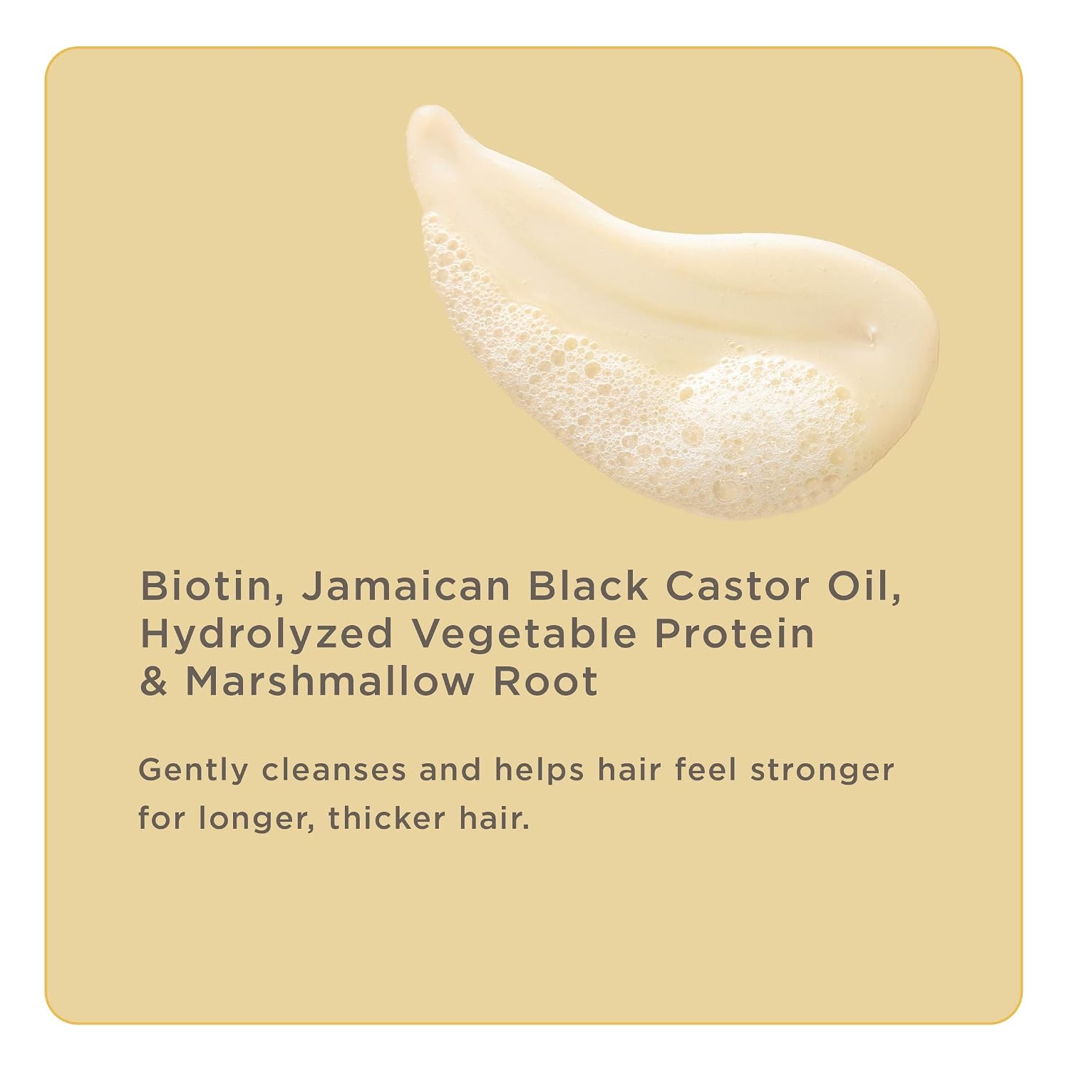 Hairitage Length Check Champú de Biotina con Aceite de Ricino Negro...
