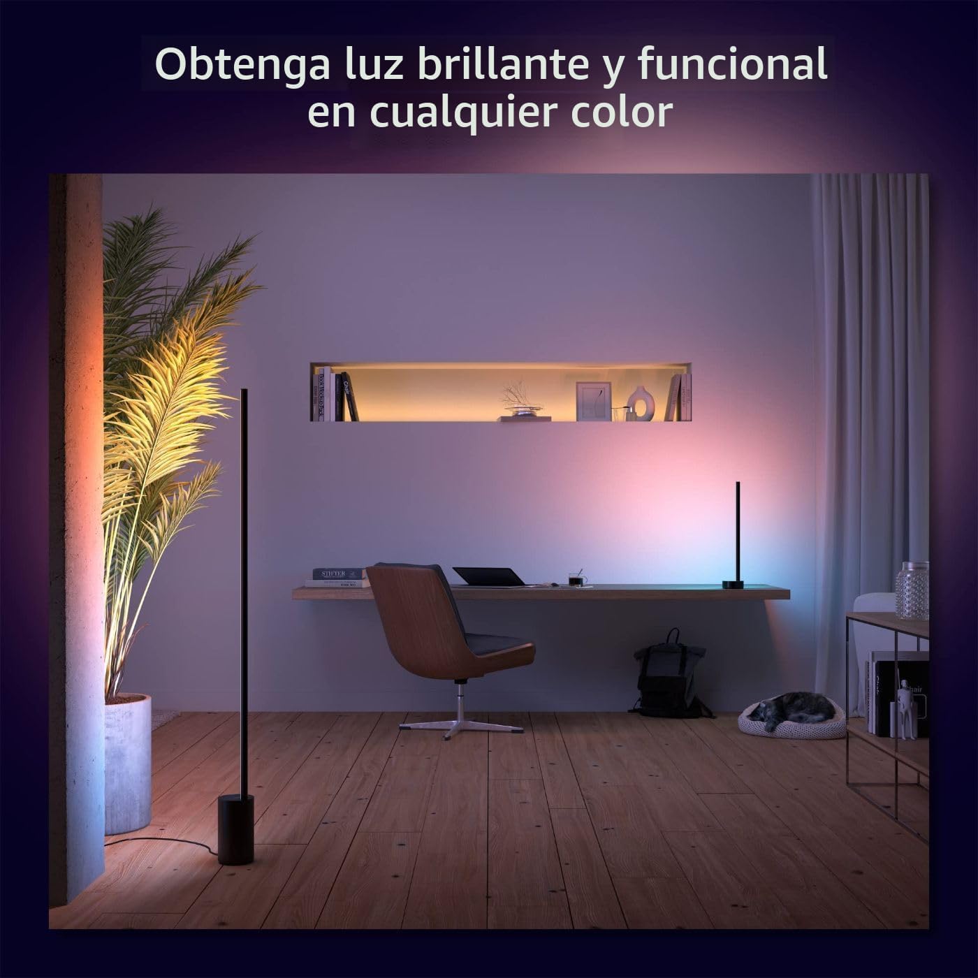 Philips Hue Lámpara de pie Signe Gradient, compatible con Alexa, Ap...