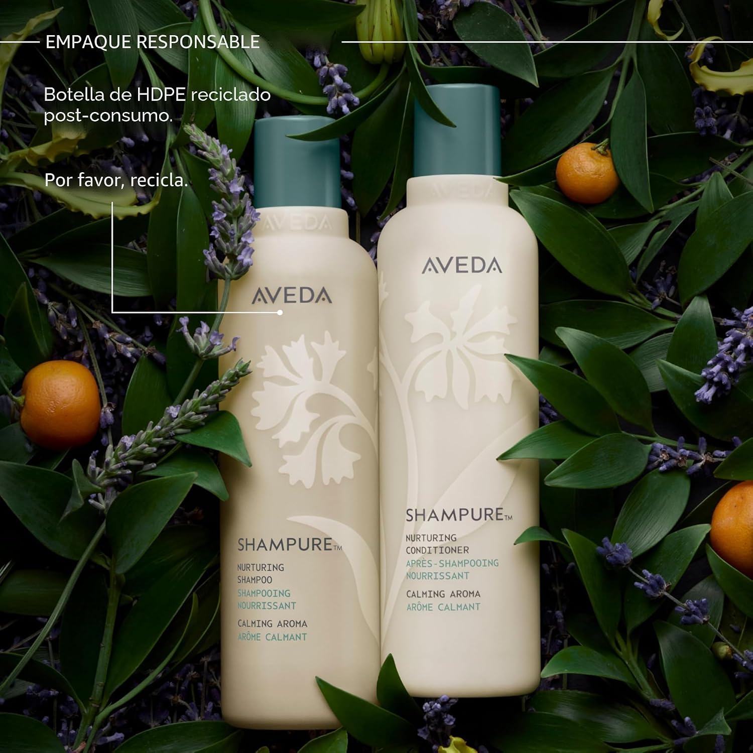 Aveda Shampure Champú nutritivo para cabello fino a medio | Limpia...