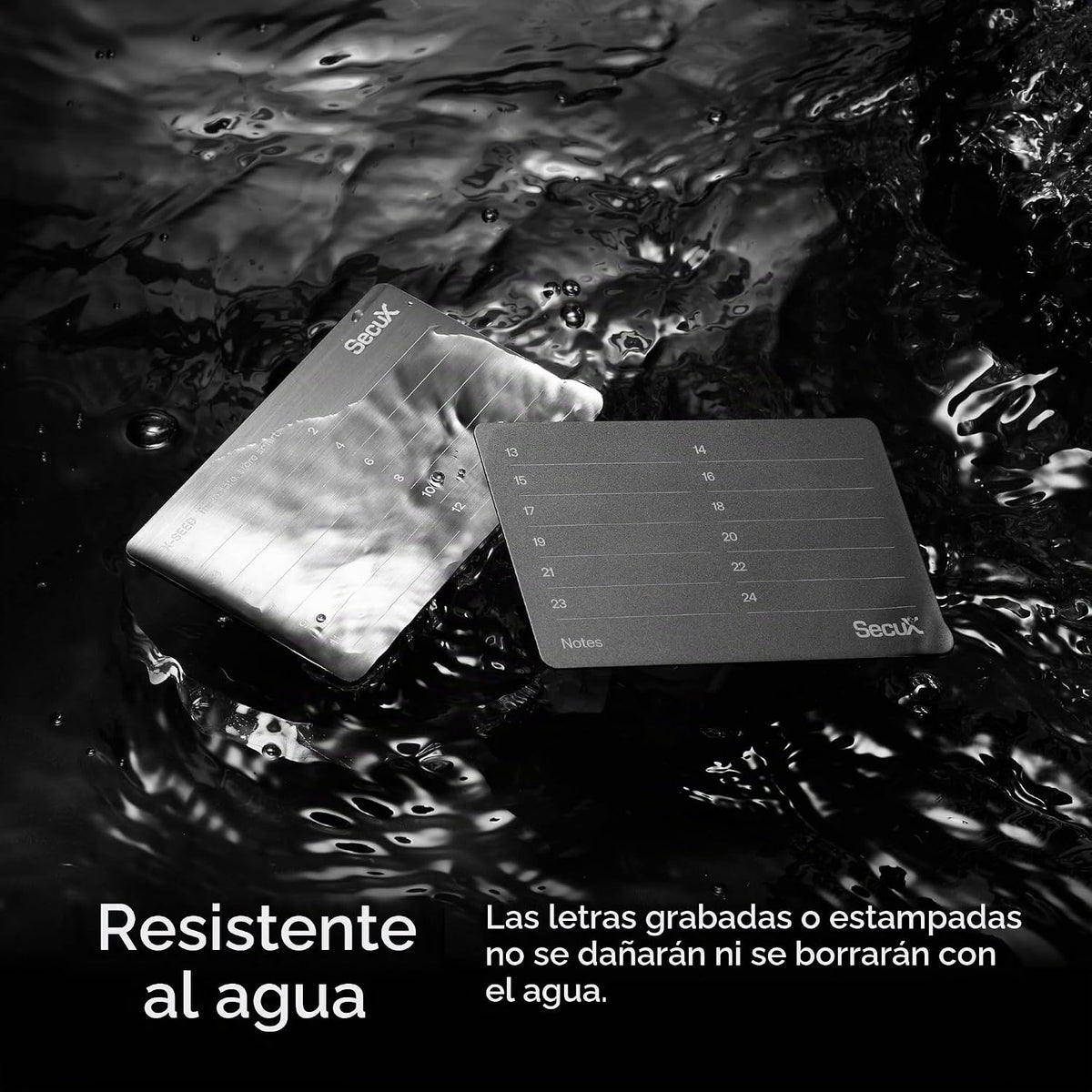 SecuX XSEED Plus - Cartera segura de Bitcoin Placas de acero para a...