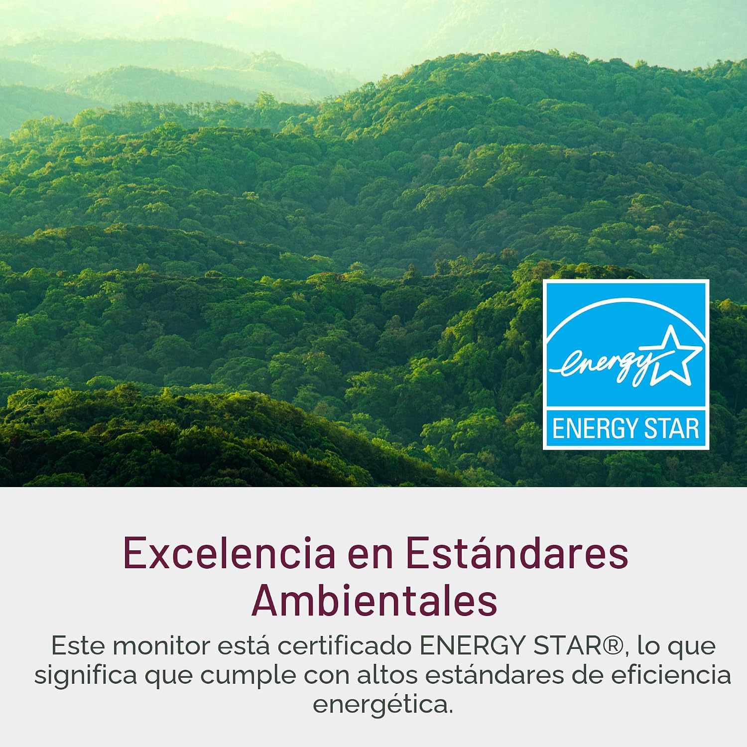 Dell Monitor 27 - SE2725HM - Pantalla Full HD de 27 pulgadas (1920...
