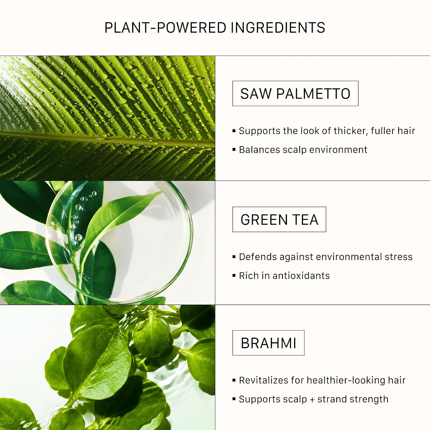 ACTIIV Recover - Tratamiento de champú engrosante para hombres | Ap...