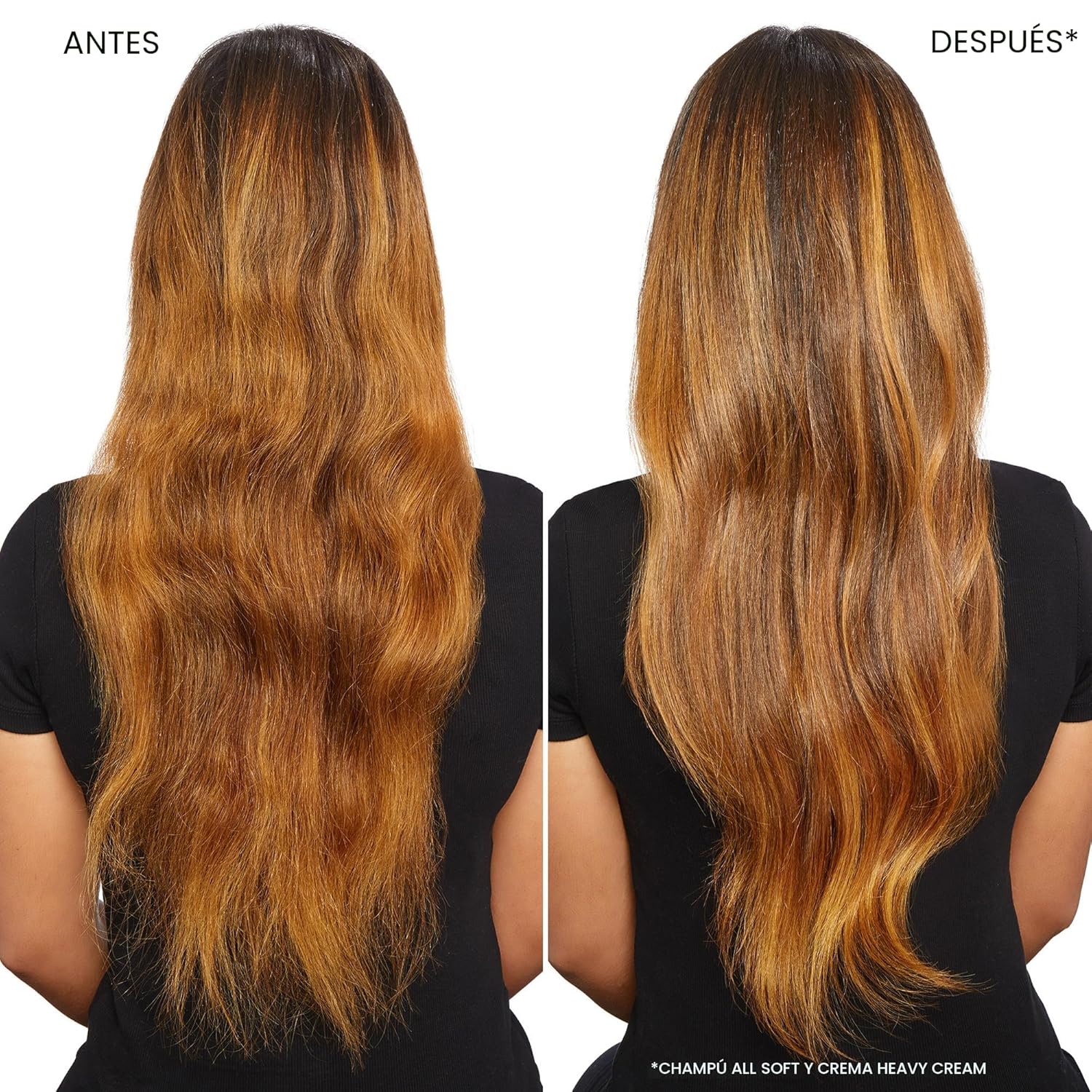 Champú Redken All Soft: hidrata e hidrata el cabello seco, suaviza...