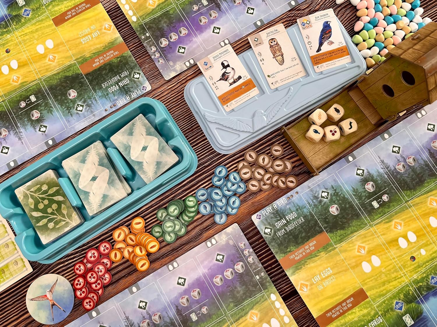 Stonemaier Games: Wingspan (Juego Base) de Elizabeth Hargrave | Un...